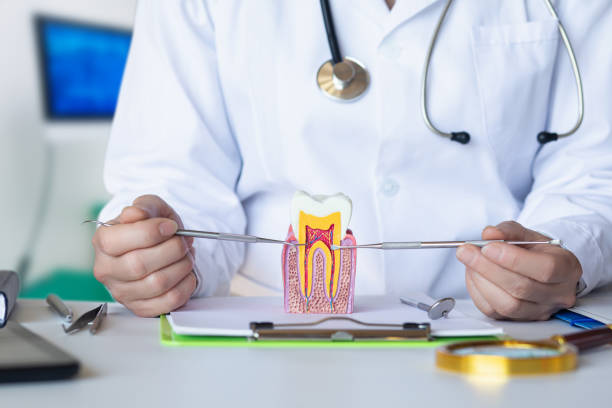 Best Weekend Emergency Dentist in Dunkirk, IN